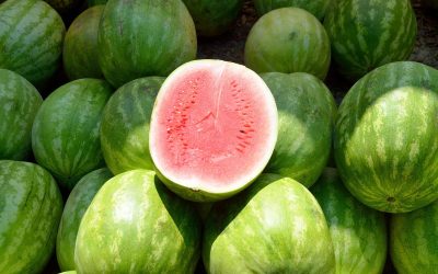 Skincare Tips & Tricks: Watermelon keeps you young and healthy.